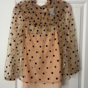 Vintage J-Crew Polka Dot Sheer Ruffle Blouse